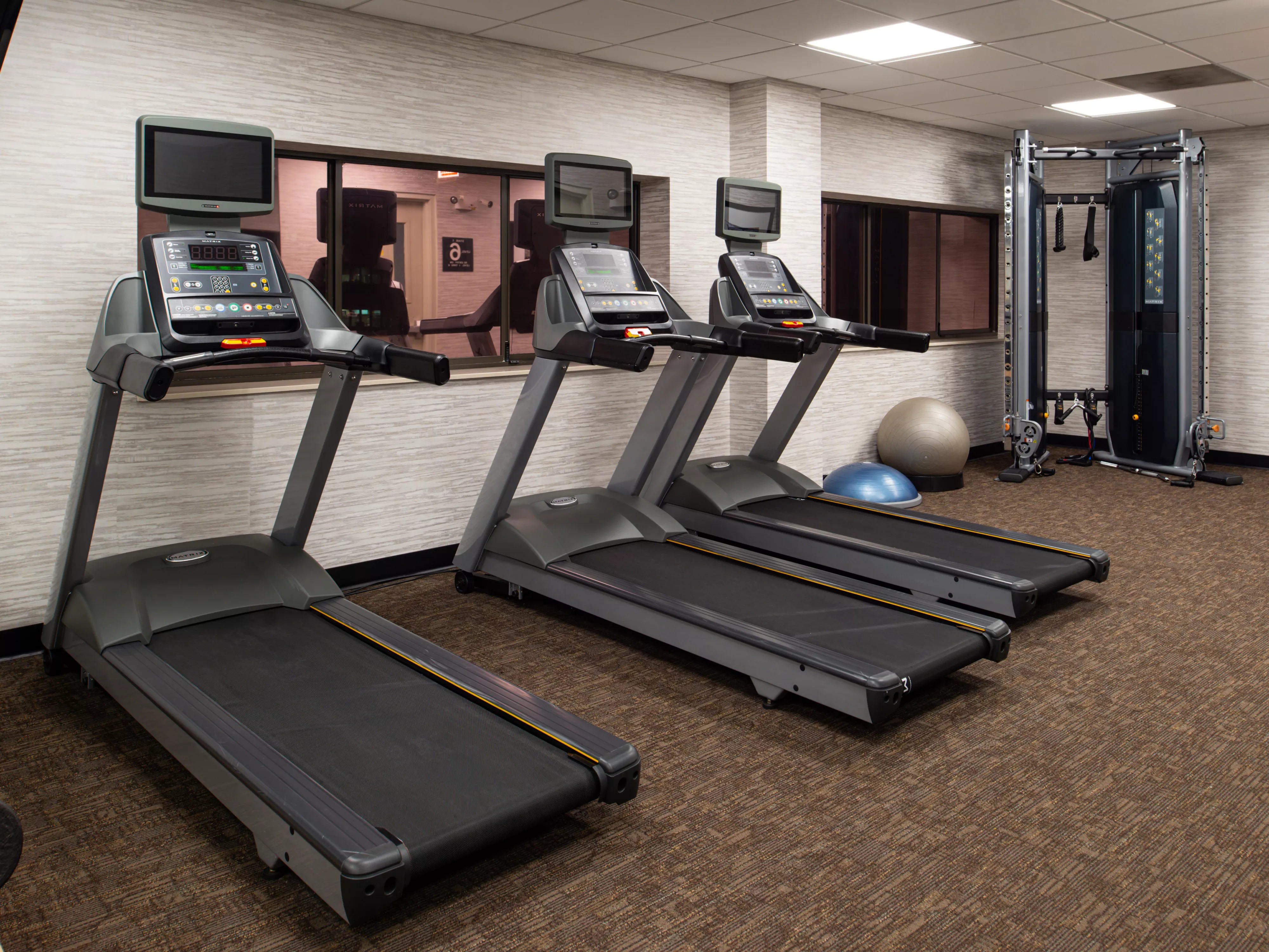 Fitness center at Holiday Inn & Suites Chicago-Downtown